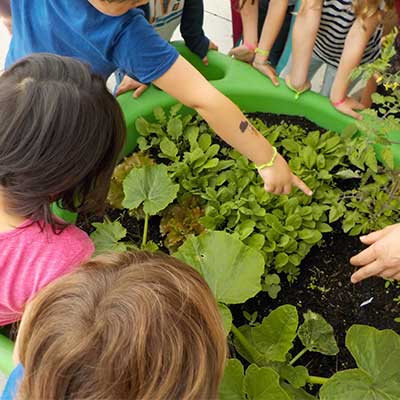 Les enfants de l'Ecoline s'occupent du jardin de leur école
